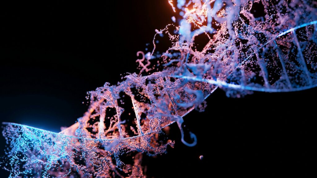 DNA in Groß